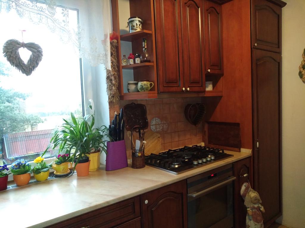 Ubytovani Irena Benesov  Ngoại thất bức ảnh